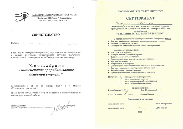 Свидетельство Российской академии образования Натальи Елисеевой.